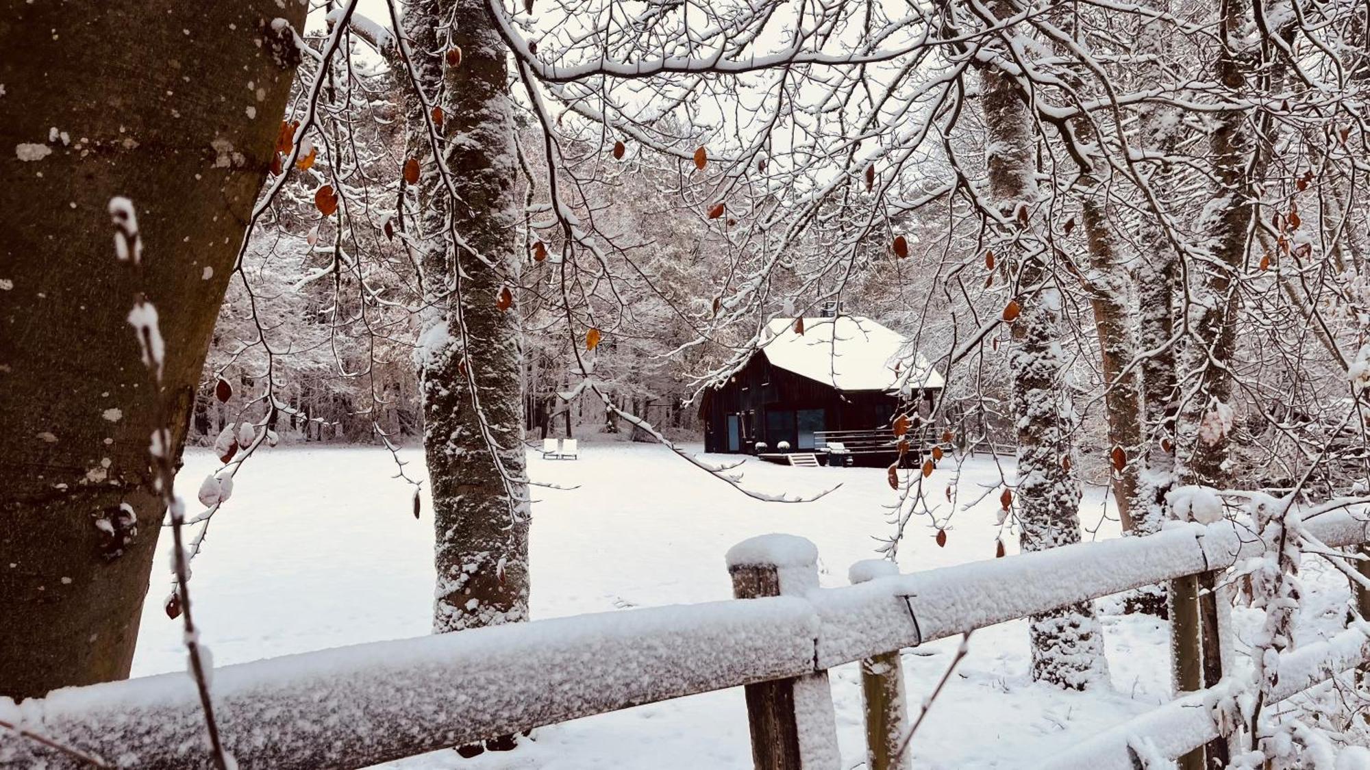 La Cabane D'Amae Marche-en-Famenne Esterno foto
